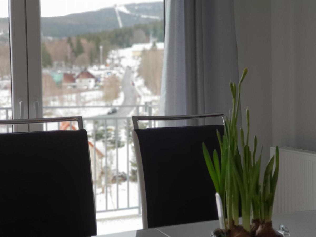 Vera Apartment Swieradow-Zdroj Zakopianska 22 C M10 エクステリア 写真